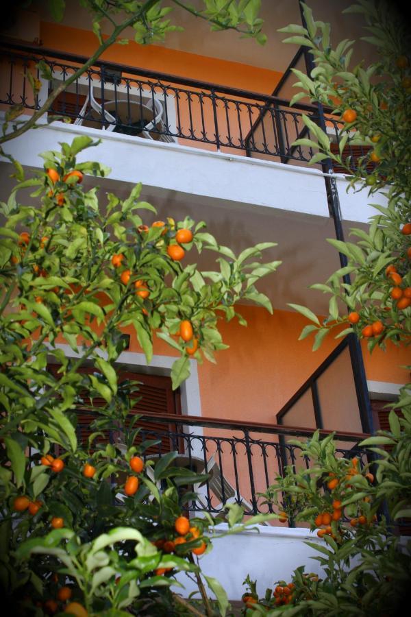 Tina Hotel Дассия Экстерьер фото